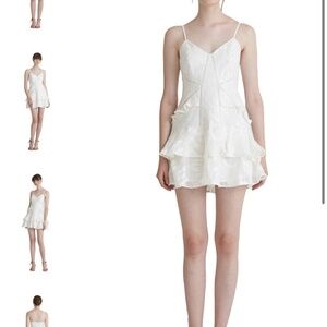 Self portrait NATALIA EMBROIDERED RUFFLE MINI DRESS